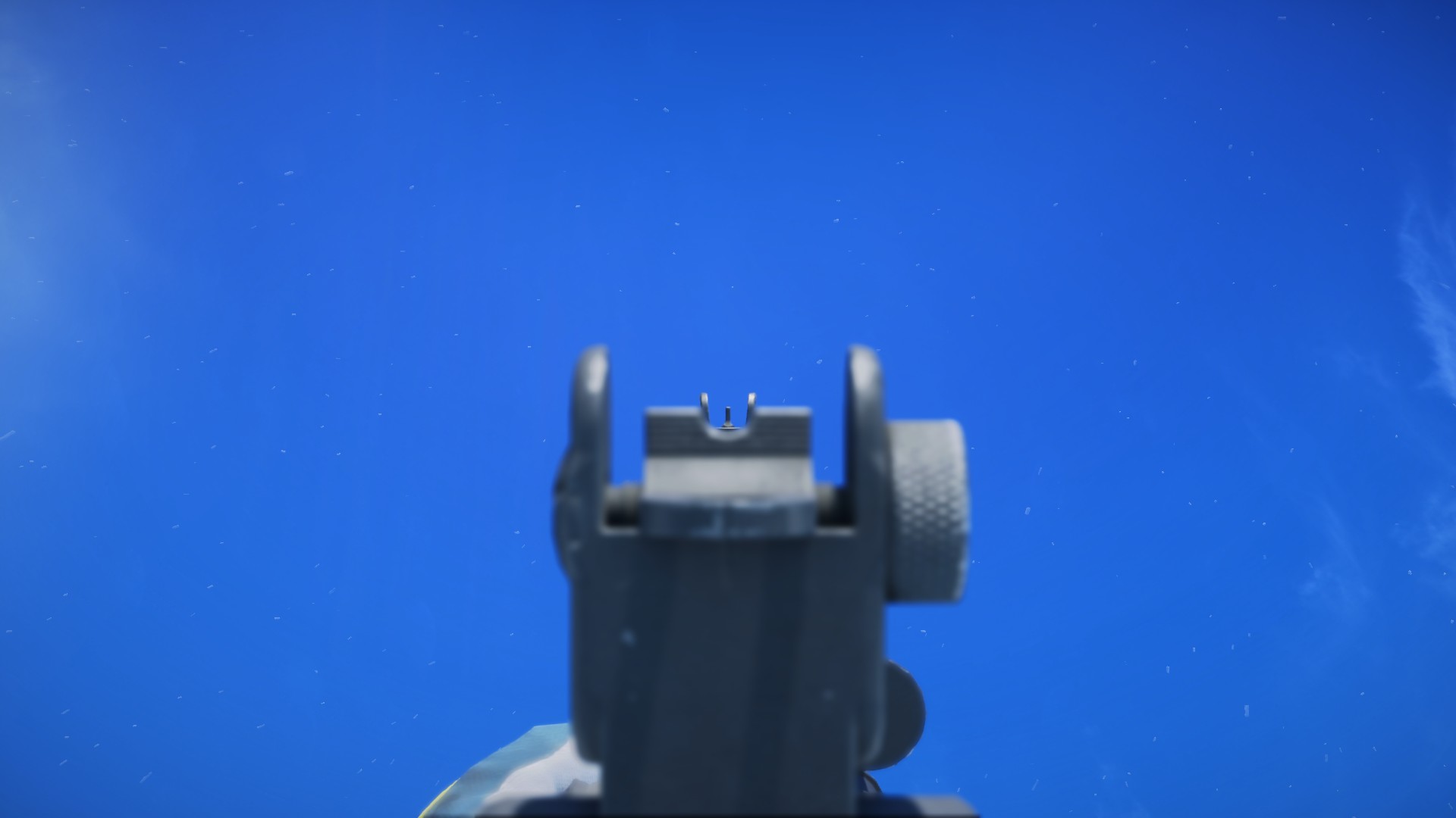 ironsights.jpg ironsights.jpg