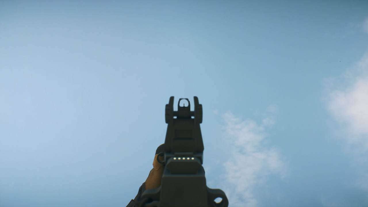 AC9_ironsight.jpg AC9_ironsight.jpg
