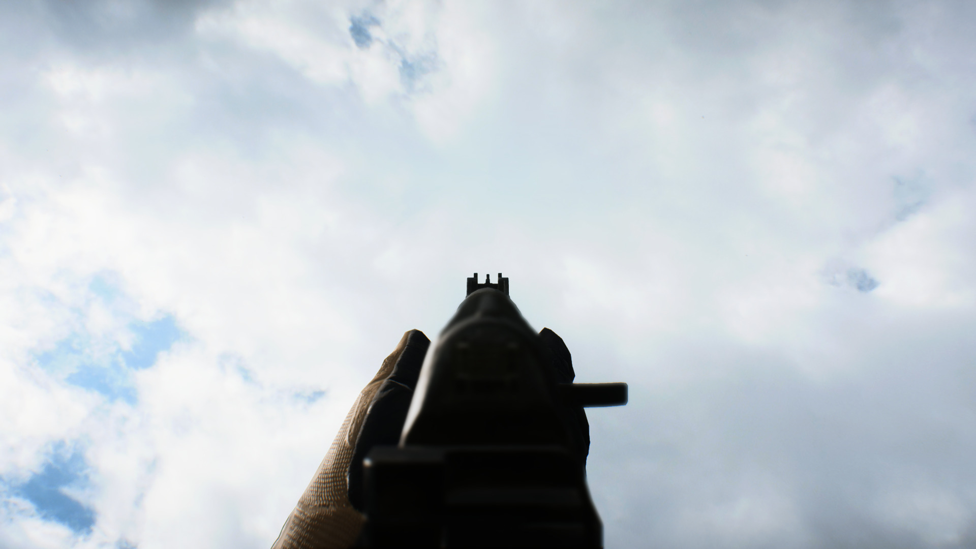 Ironsight.jpg Ironsight.jpg