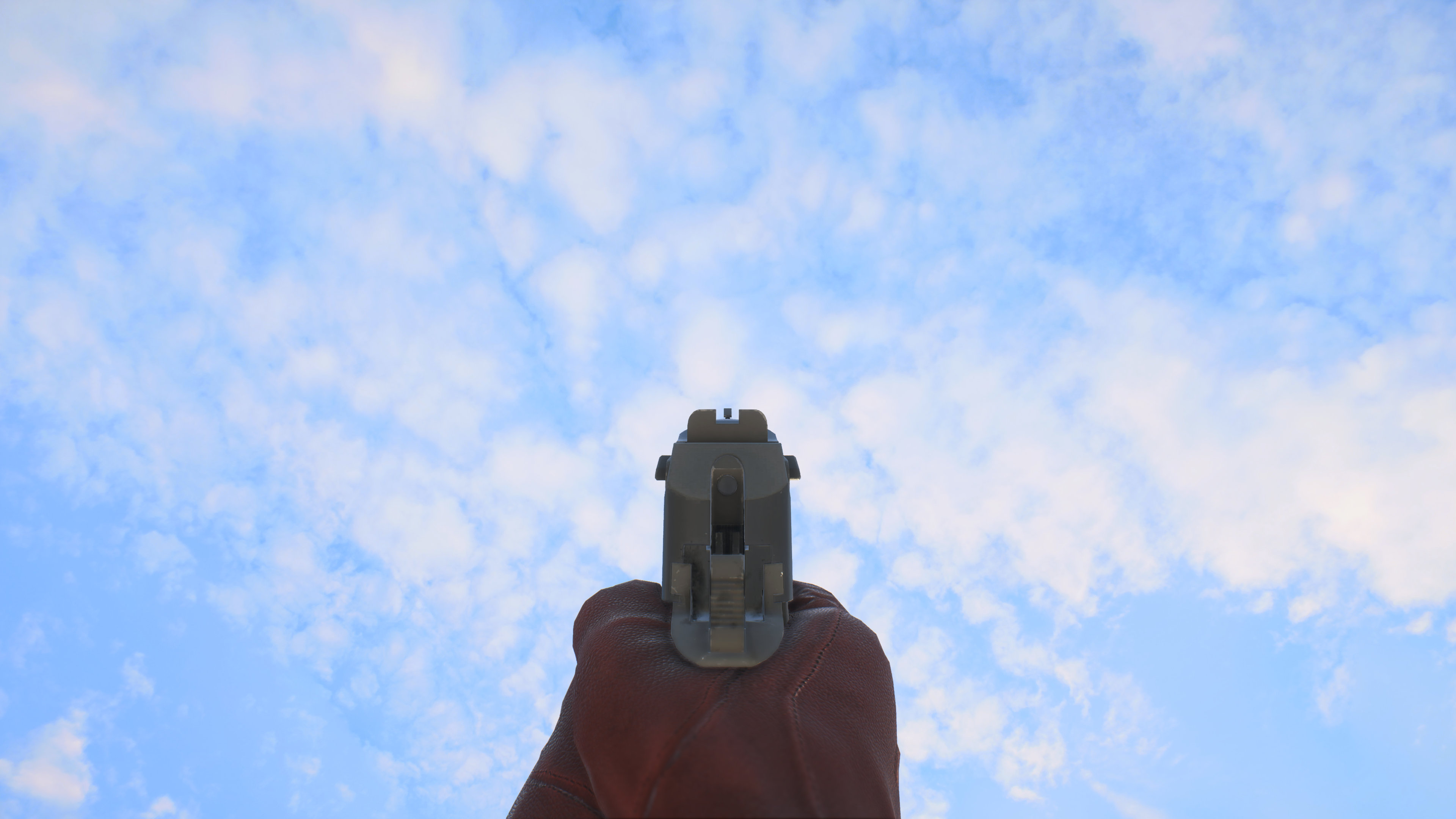 BFP_iron.jpg BFP_iron.jpg