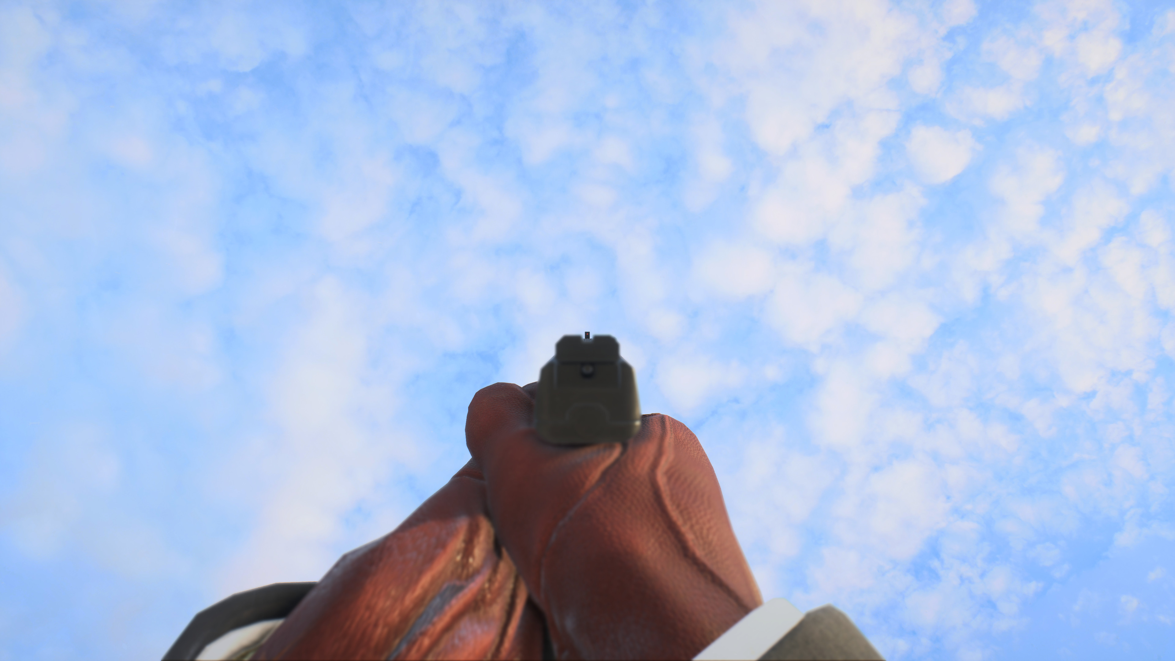 L9CZ_iron.jpg L9CZ_iron.jpg