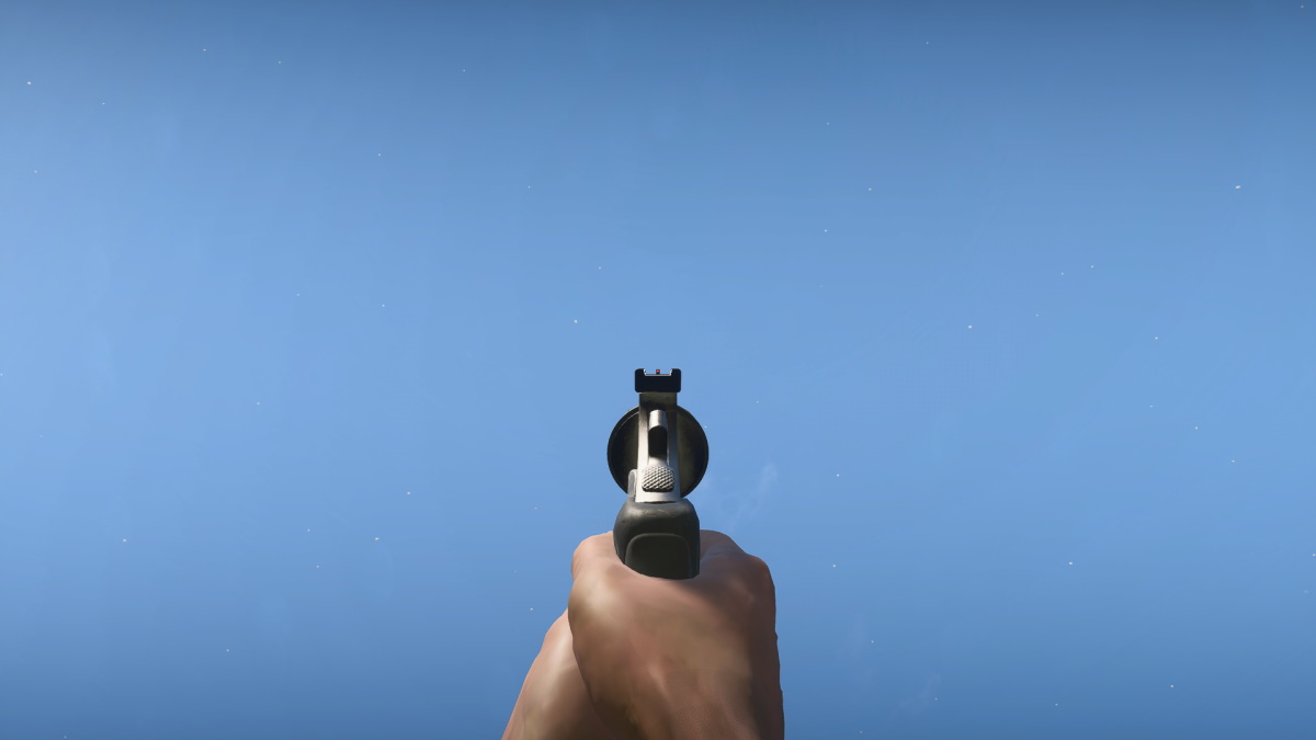 M44_ironsight.jpg M44_ironsight.jpg