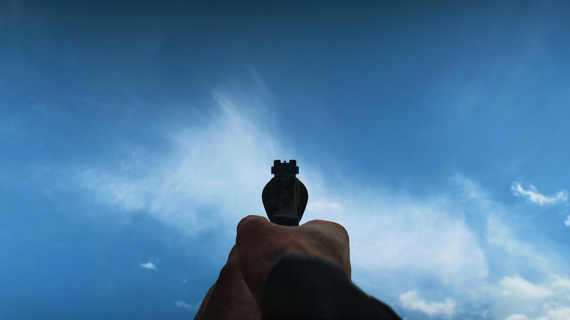 Ironsight.jpg Ironsight.jpg