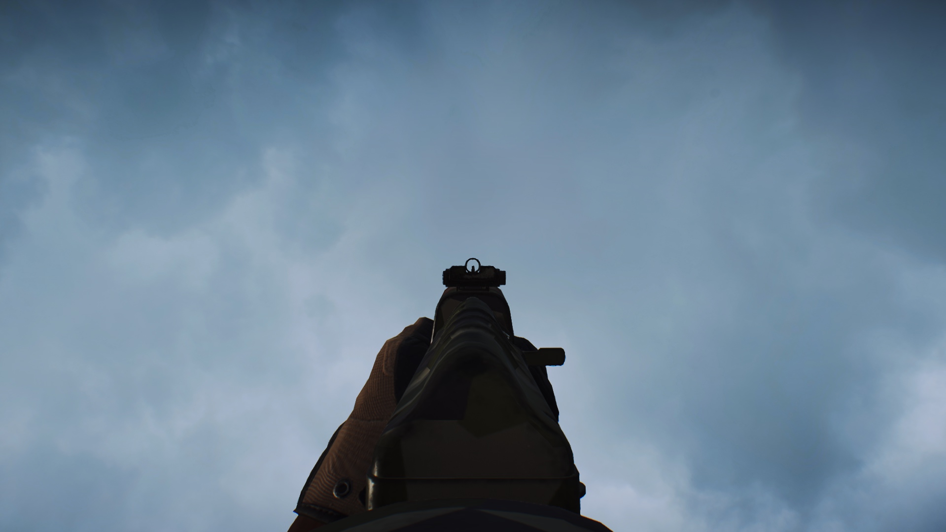 Ironsights.jpg Ironsights.jpg