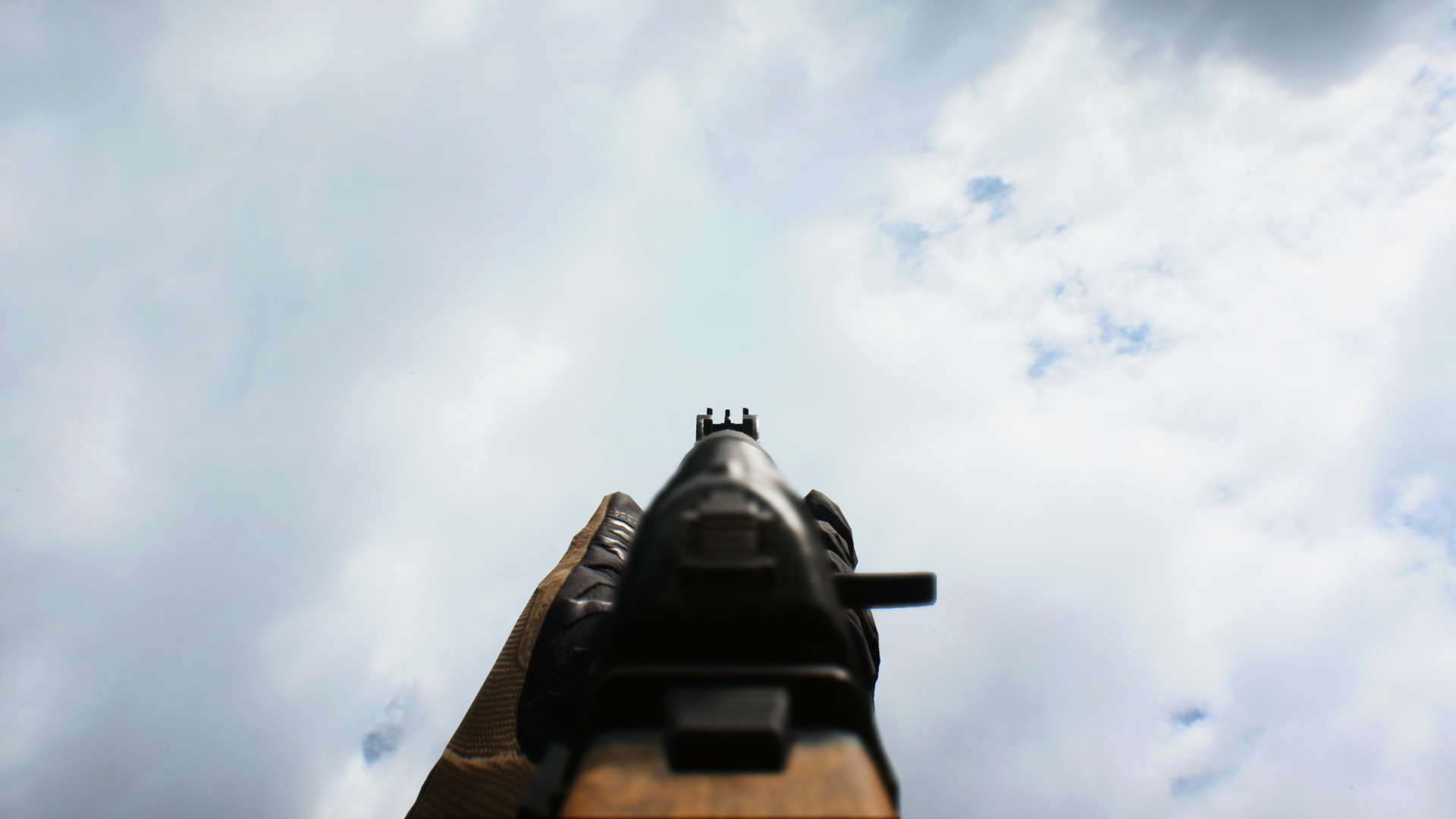 NewIronsight.jpg NewIronsight.jpg